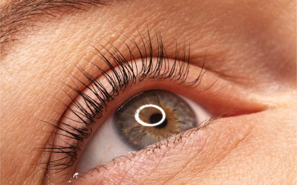 lifting de pestañas