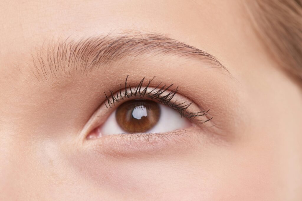Laminado de cejas